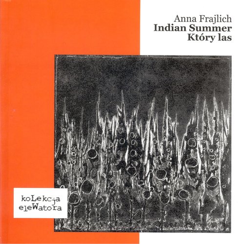 Image of Indian Summer, Który las