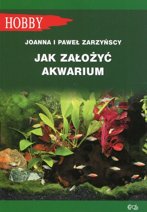 Image of Jak założyć akwarium