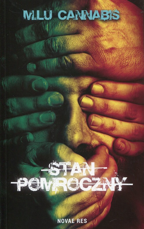 Image of Stan pomroczny