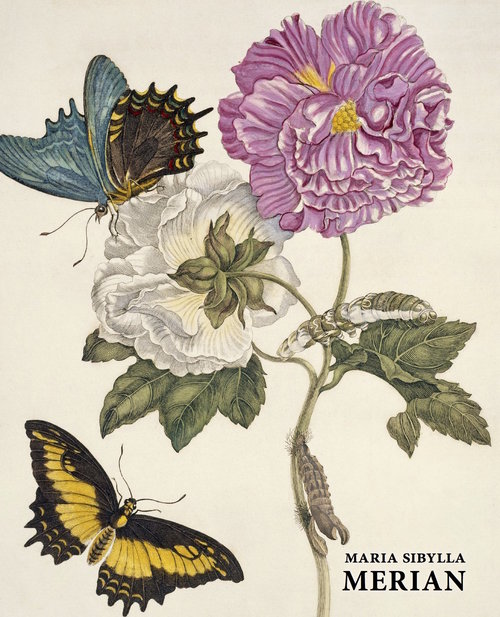 Image of Maria Sibylla Merian