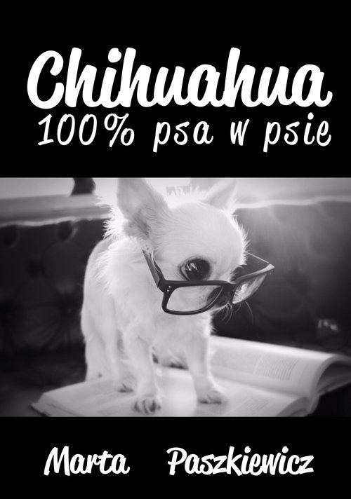 Image of Chihuahua 100% psa w psie