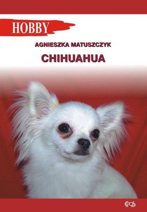 Image of Chihuahua