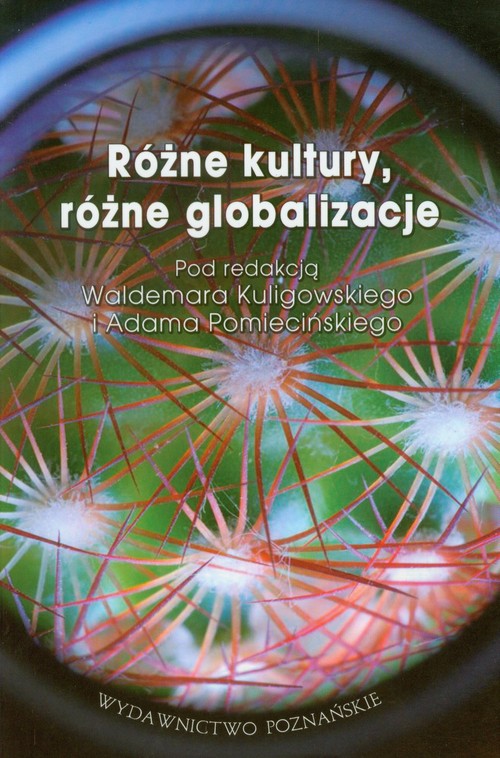 Image of Różne kultury różne globalizacje
