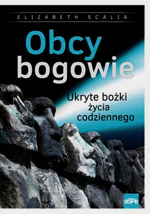 Image of Obcy bogowie Ukryte bożki życia codziennego