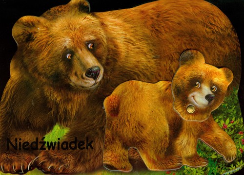 Image of Niedźwiadek