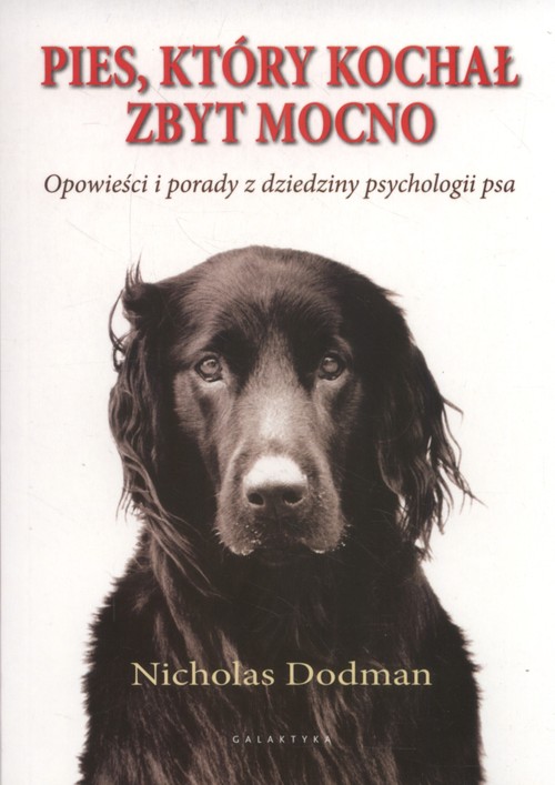 Image of Pies który kochał zbyt mocno