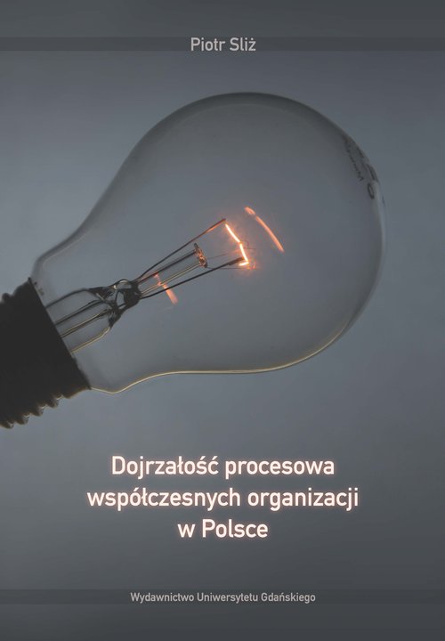 Image of Dojrzałość procesowa współczesnych organizacji w Polsce