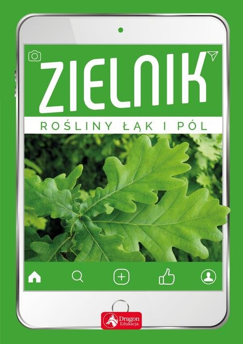 Image of Zielnik