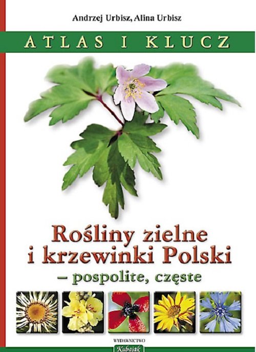 Image of Rośliny zielne i krzewinki Polski Rośliny zielne i krzewinki Polski - pospolite, częste. Atlas i klucz.
