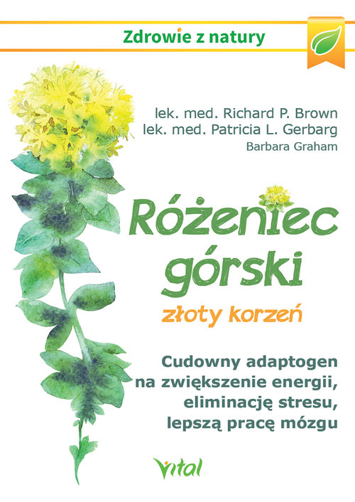 Image of Różeniec górski złoty korzeń
