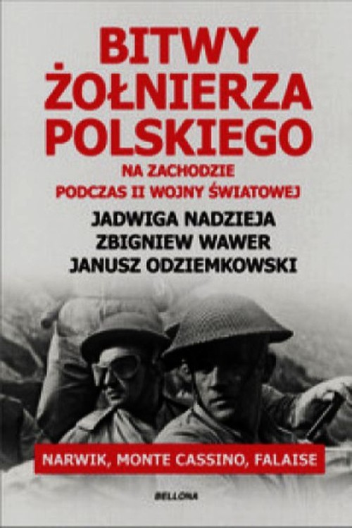 Image of Bitwy żołnierza polskiego na Zachodzie podczas II wojny światowej. Narwik, Monte Cassino, Falaise