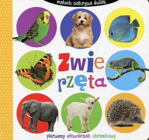 Image of Zwierzęta. Maluch odkrywa świat. Pierwszy słowniczek obrazkowy