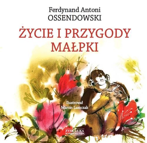 Image of Życie i przygody małpki