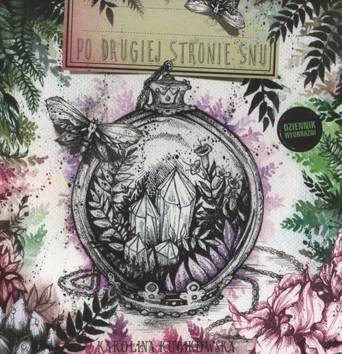 Image of Po drugiej stronie snu Dziennik wyobraźni