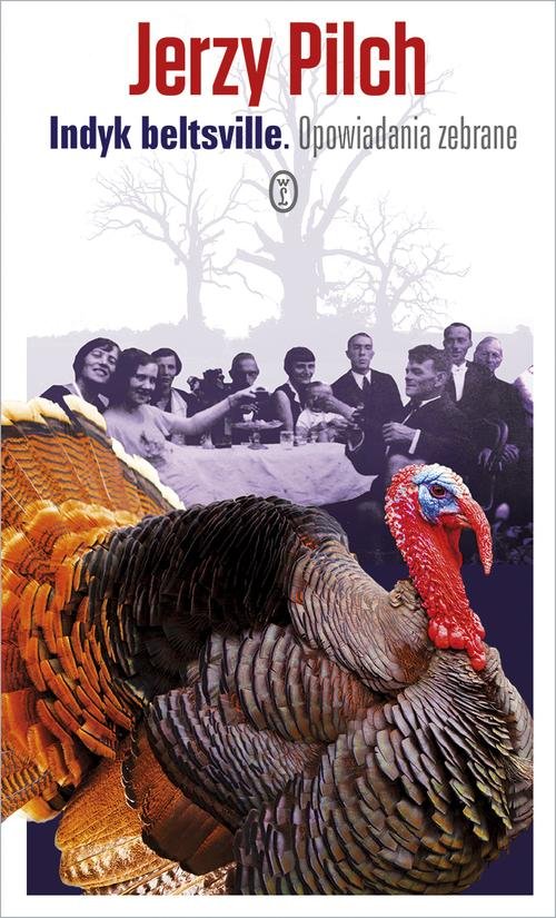 Image of Indyk beltsville. Opowiadania zebrane