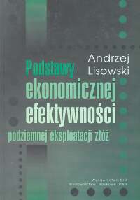 Image of Podstawy ekonomicznej efektywności podziemnej eksploatacji złóż