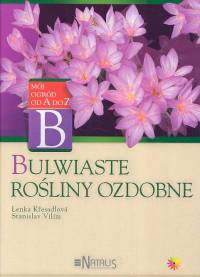 Image of Bulwiaste rośliny ozdobne