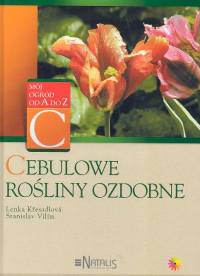 Image of Cebulowe rośliny ozdobne