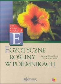Image of Egzotyczne rośliny w pojemnikach