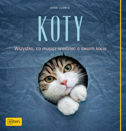 Image of Koty Wszystko, co posiadacze kotów wiedzieć muszą