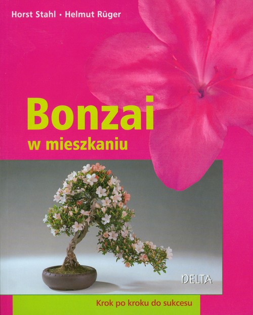 Image of Bonzai w mieszkaniu Krok po kroku do sukcesu