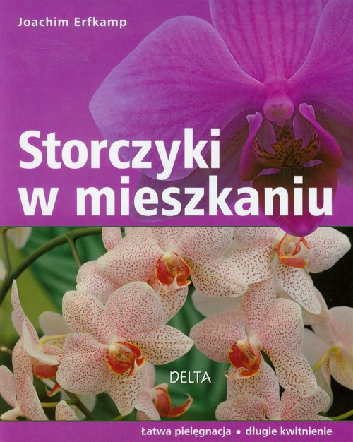 Image of Storczyki w mieszkaniu