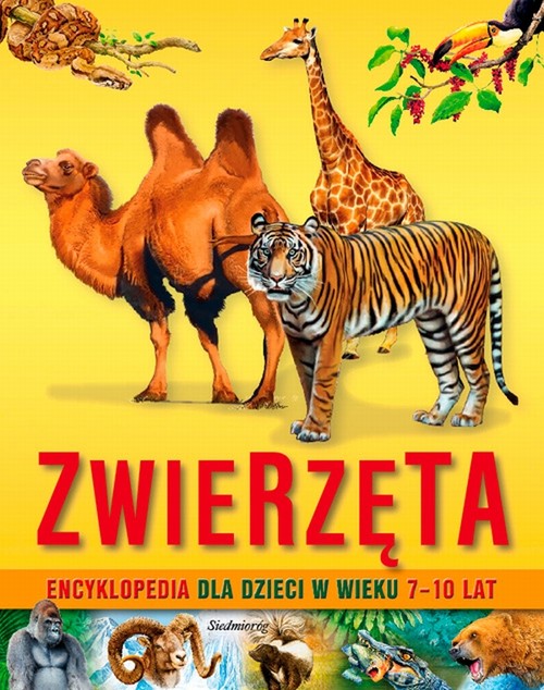 Image of Zwierzęta Encyklopedia dla dzieci w wieku 7-10 lat