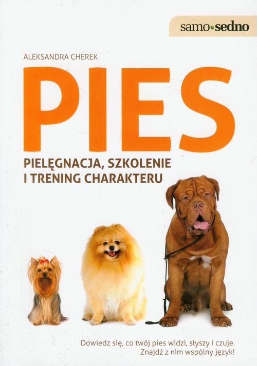 Image of Pies pielęgnacja, szkolenie i trening charakteru Dowiedz się, co twój pies widzi, słyszy i czuje. Znajdź z nim wspólny język!