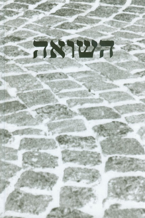 Image of Pamięć Shoah Kulturowe reprezentacje i praktyki upamiętnienia