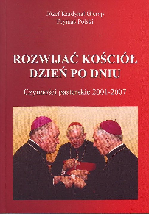 Image of Rozwijać Kościół dzień po dniu Czynności pasterskie 2001-2007