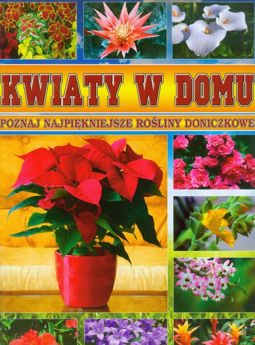 Image of Kwiaty w domu Poznaj najpiękniejsze rośliny doniczkowe.