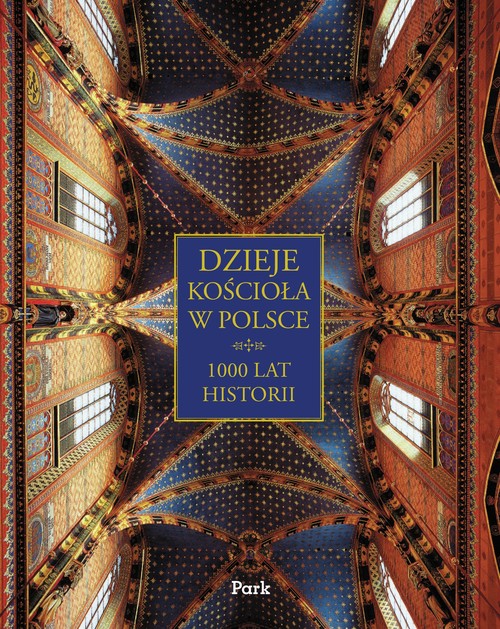 Image of Dzieje Kościoła w Polsce