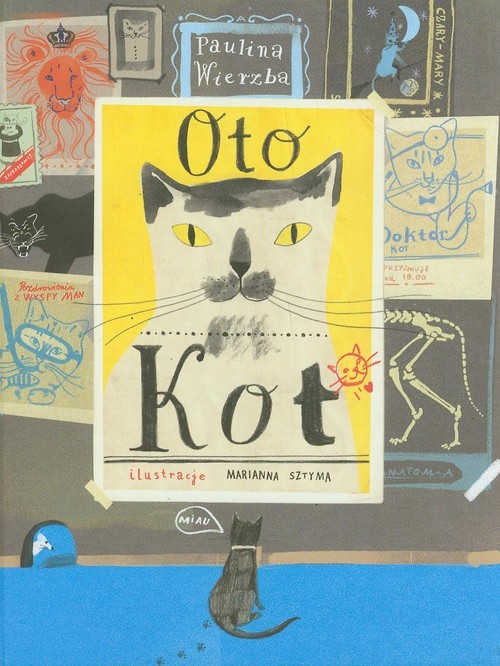Image of Oto kot