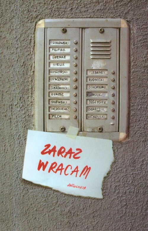 Image of Zaraz wracam Antologia