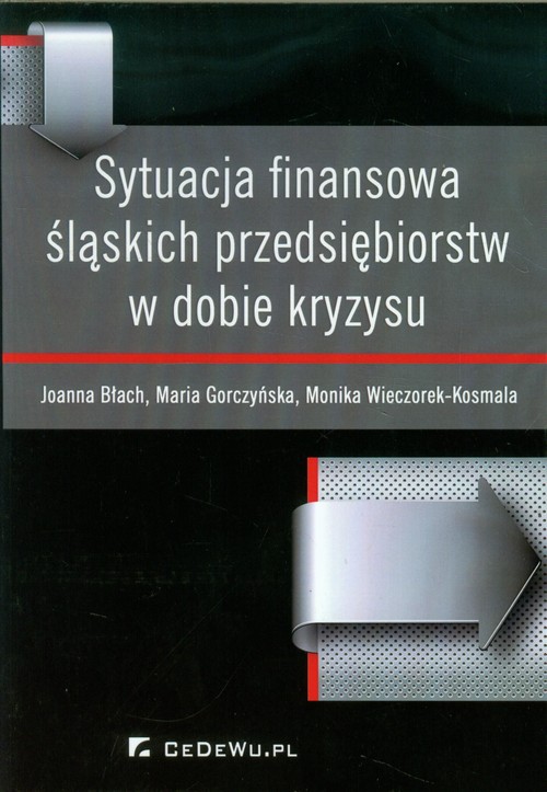 Image of Sytuacja finansowa śląskich przedsiębiorstw w dobie kryzysu