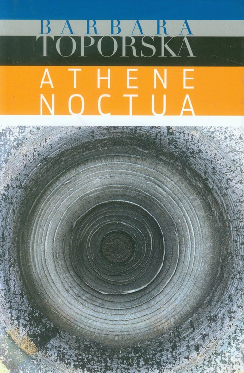 Image of Athena noctua