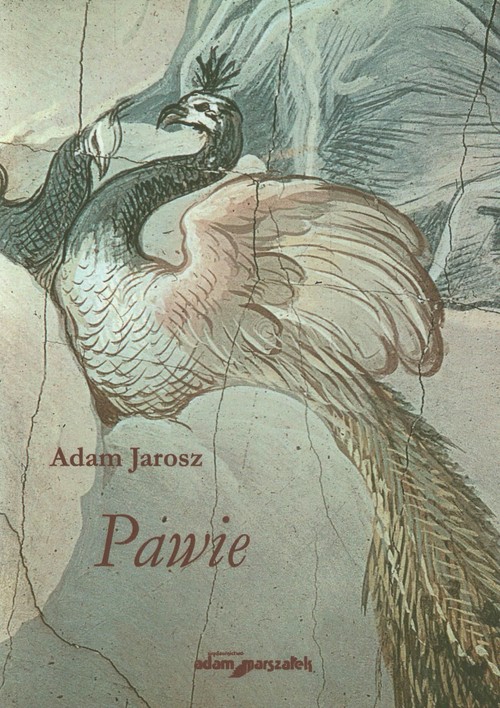 Image of Pawie