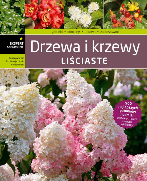 Image of Drzewa i krzewy liściaste