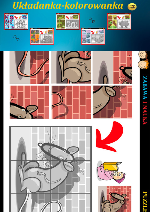 Image of Układanka Kolorowanka