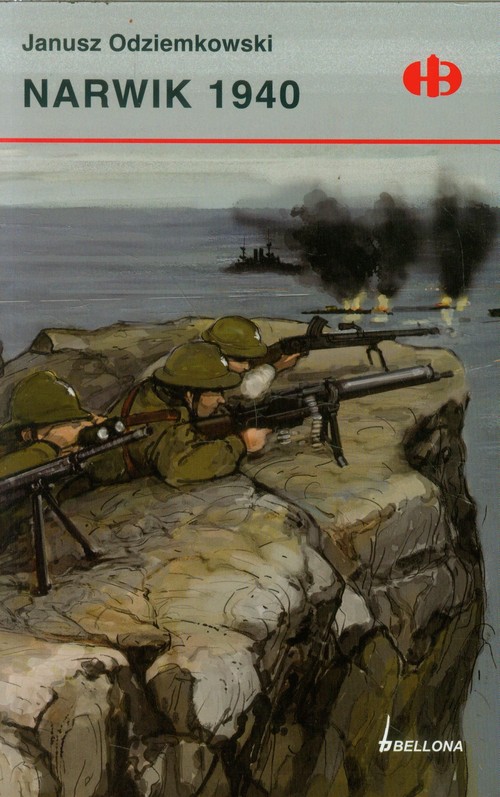 Image of Narwik 1940