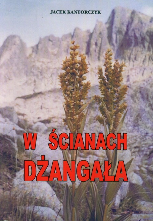 Image of W ścianach Dżangała