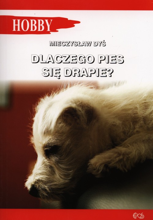 Image of Dlaczego pies się drapie?