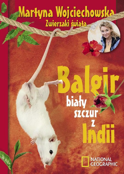 Image of Balgir, biały szczur z Indii