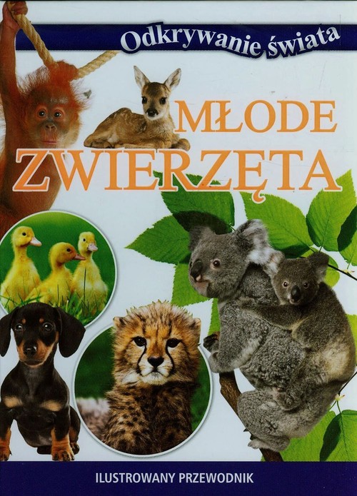Image of Młode zwierzęta Ilustrowany przewodnik