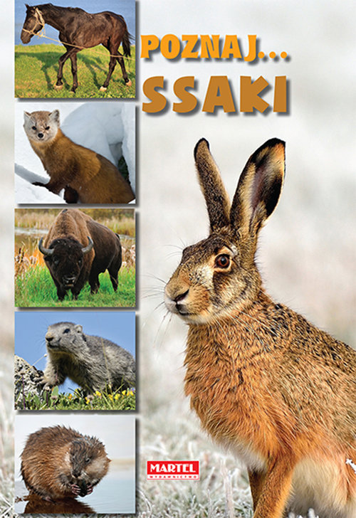 Image of Poznaj ssaki