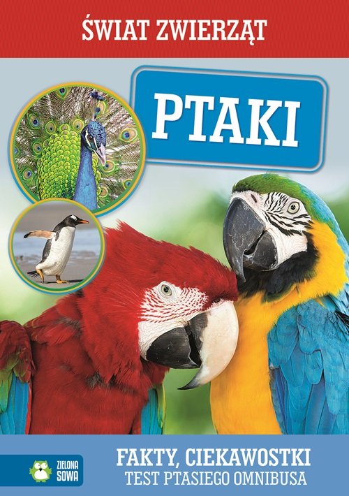 Image of Ptaki Świat Zwierząt
