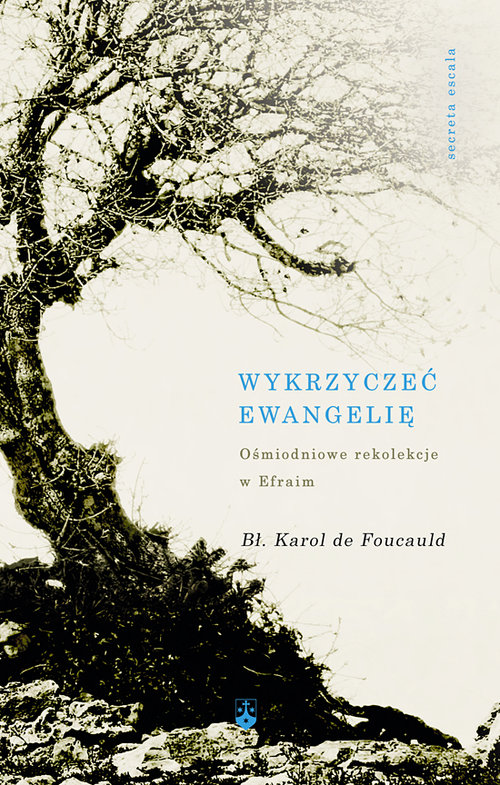 Image of Wykrzyczeć Ewangelię Ośmiodniowe rekolekcje w Efraim