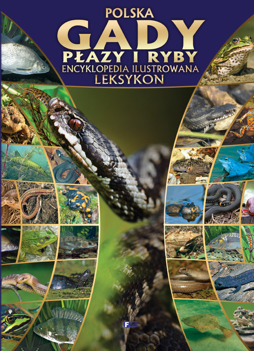 Image of Polska gady płazy i ryby Encyklopedia ilustrowana