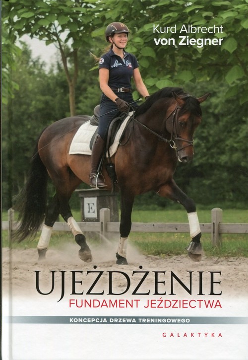 Image of Ujeżdżenie Fundament jeździectwa Koncepcja drzewa treningowego