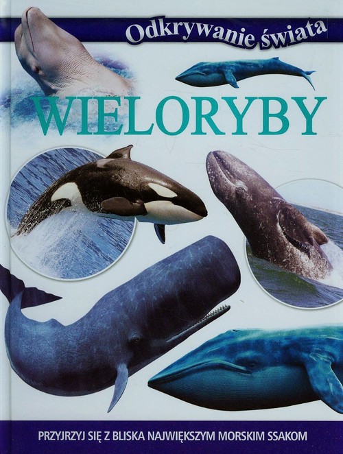 Image of Odkrywanie świata Wieloryby Przyjrzyj się z bliska największym morskim ssakom